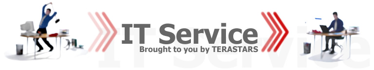 ITサービス by 兆星電脳 TERASTARS